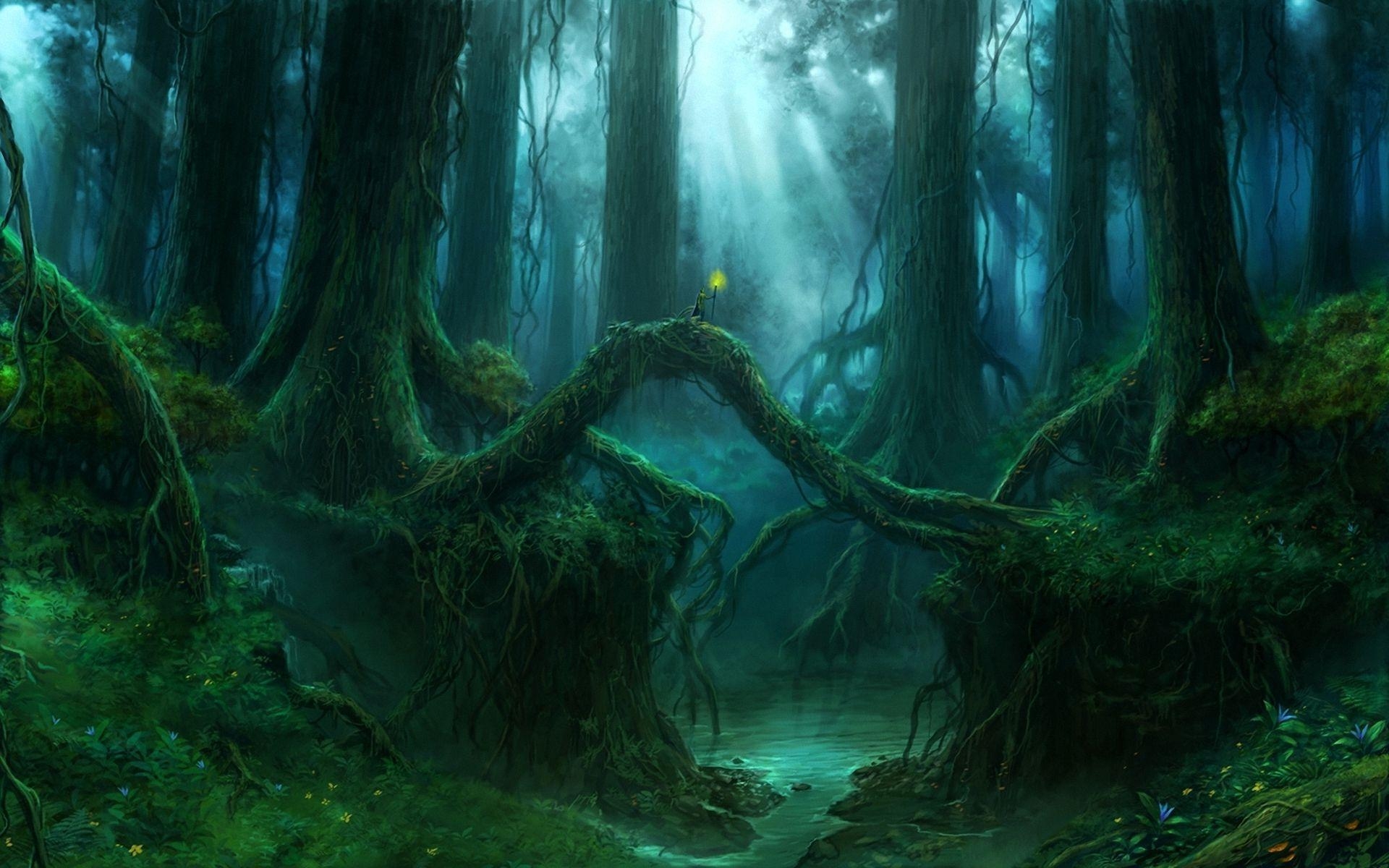 Enchanted Forest Wallpapers Top Free Enchanted Forest Backgrounds 