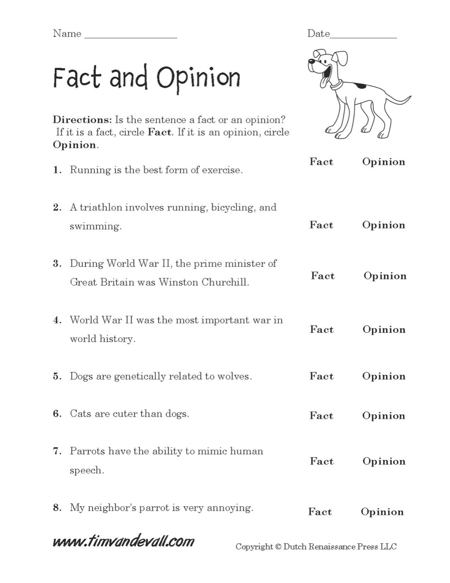 Fact Or Opinion Worksheet