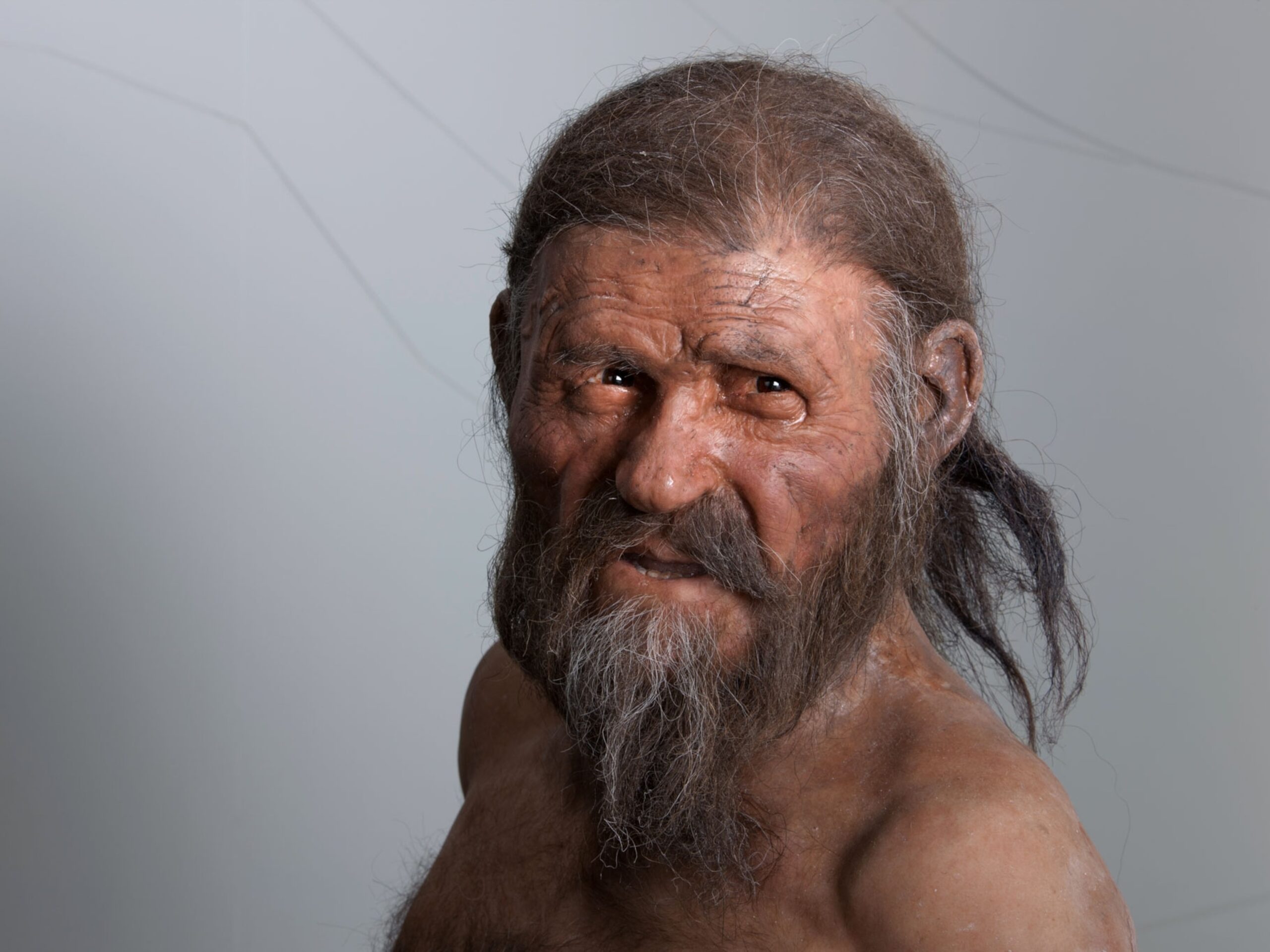 Facts About Otzi The Iceman Safe Shipping Brunofuga adv br