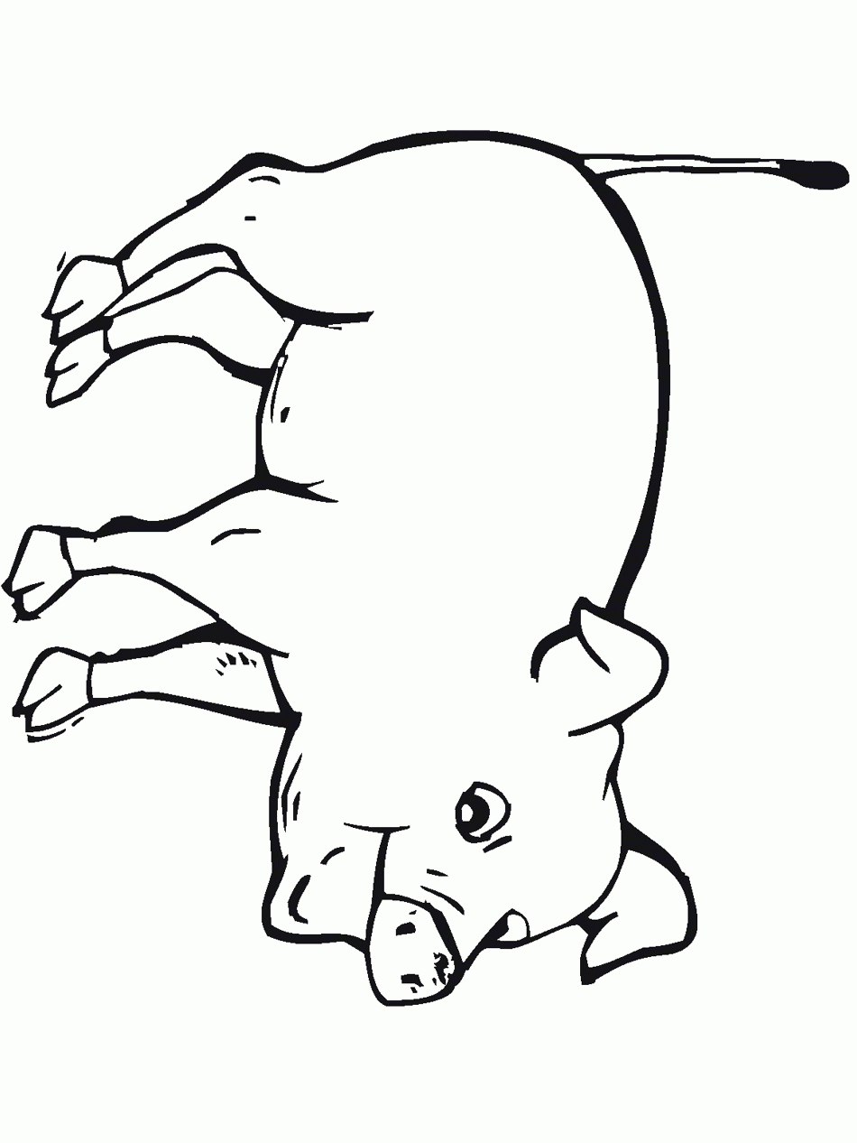Farm Animal Picture To Color Farm Animal Coloring Pages For Toddlers At 