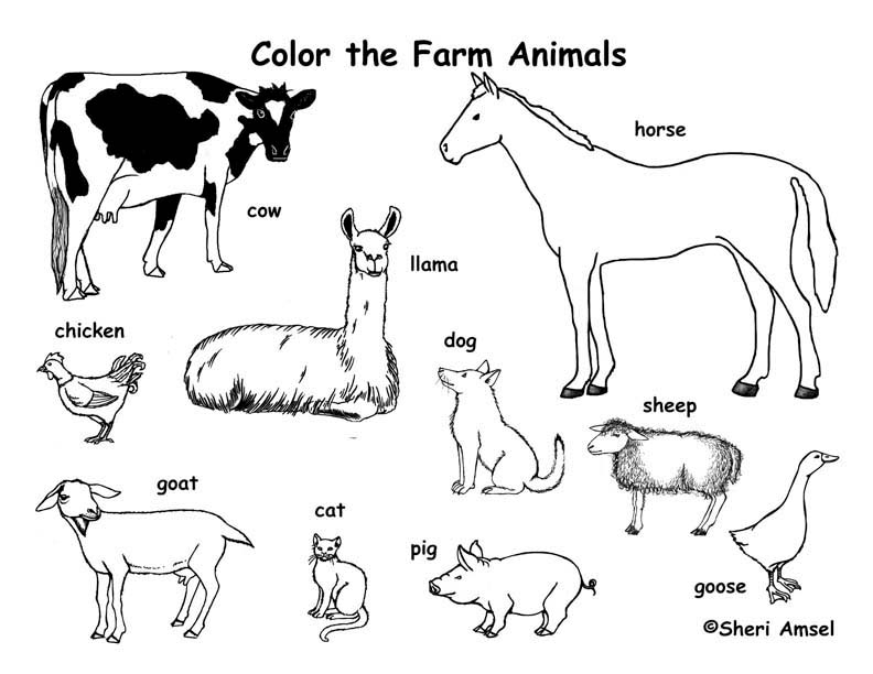printable coloring pictures of farm animals