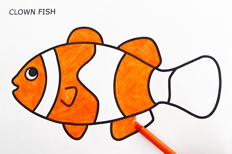 Fish Images Printable Unique Fish Photo