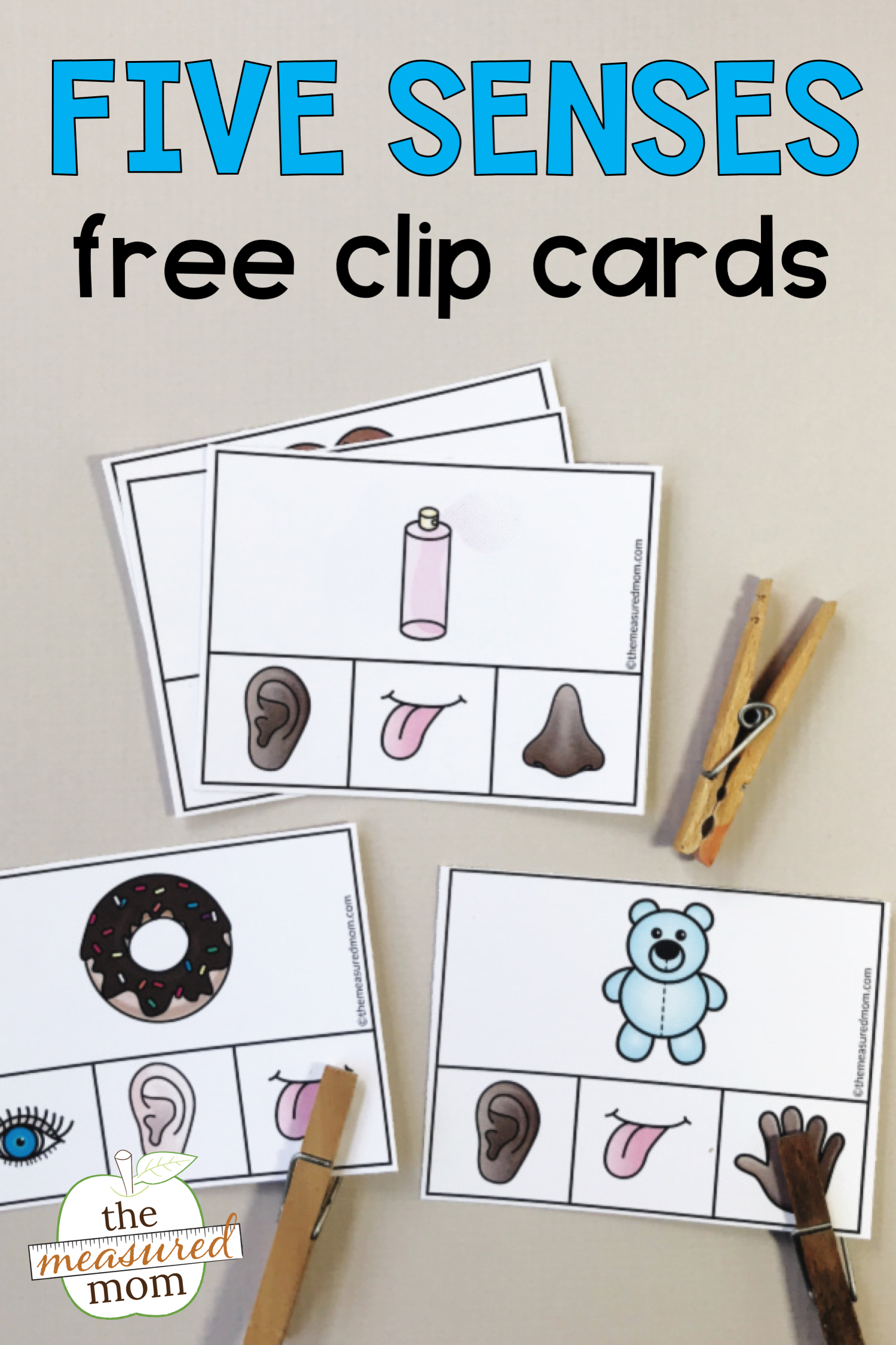 Five Senses Senses Preschool English Activities For New 5 Senses 