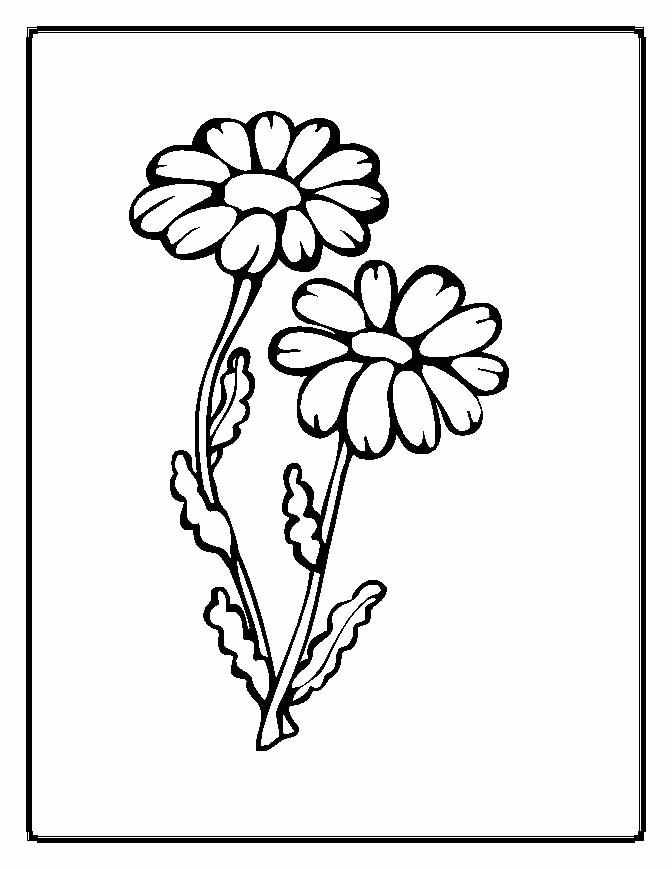 Flower Glass Painting Designs Glass Painting Designs