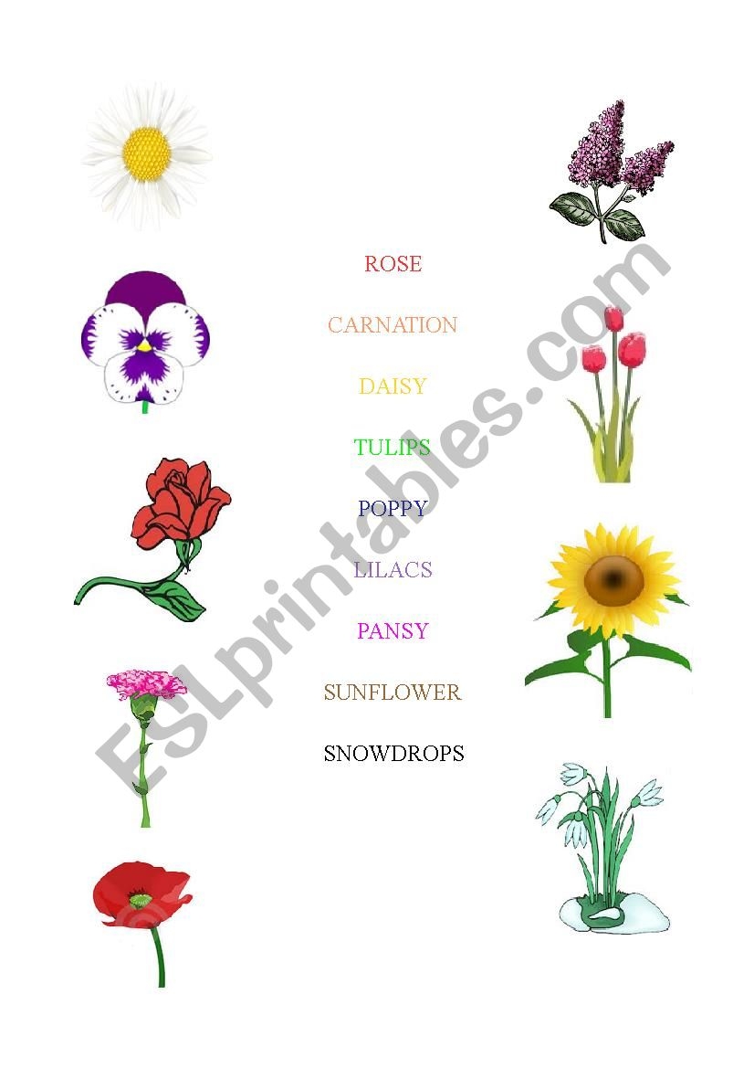 Flower Matching Game Printable