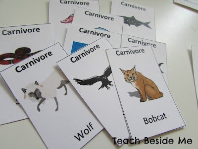 Food Chain Game Printable Teach Beside Me
