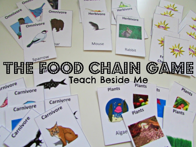 Food Chain Game Printable Teach Beside Me