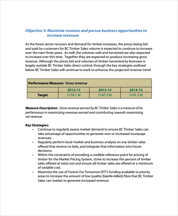 sample business development plan template