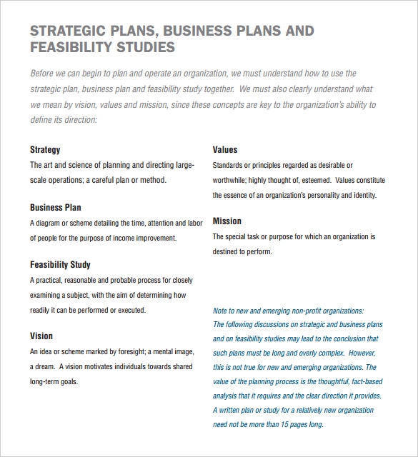 FREE 23 Non Profit Business Plan Templates In PDF Google Docs MS 