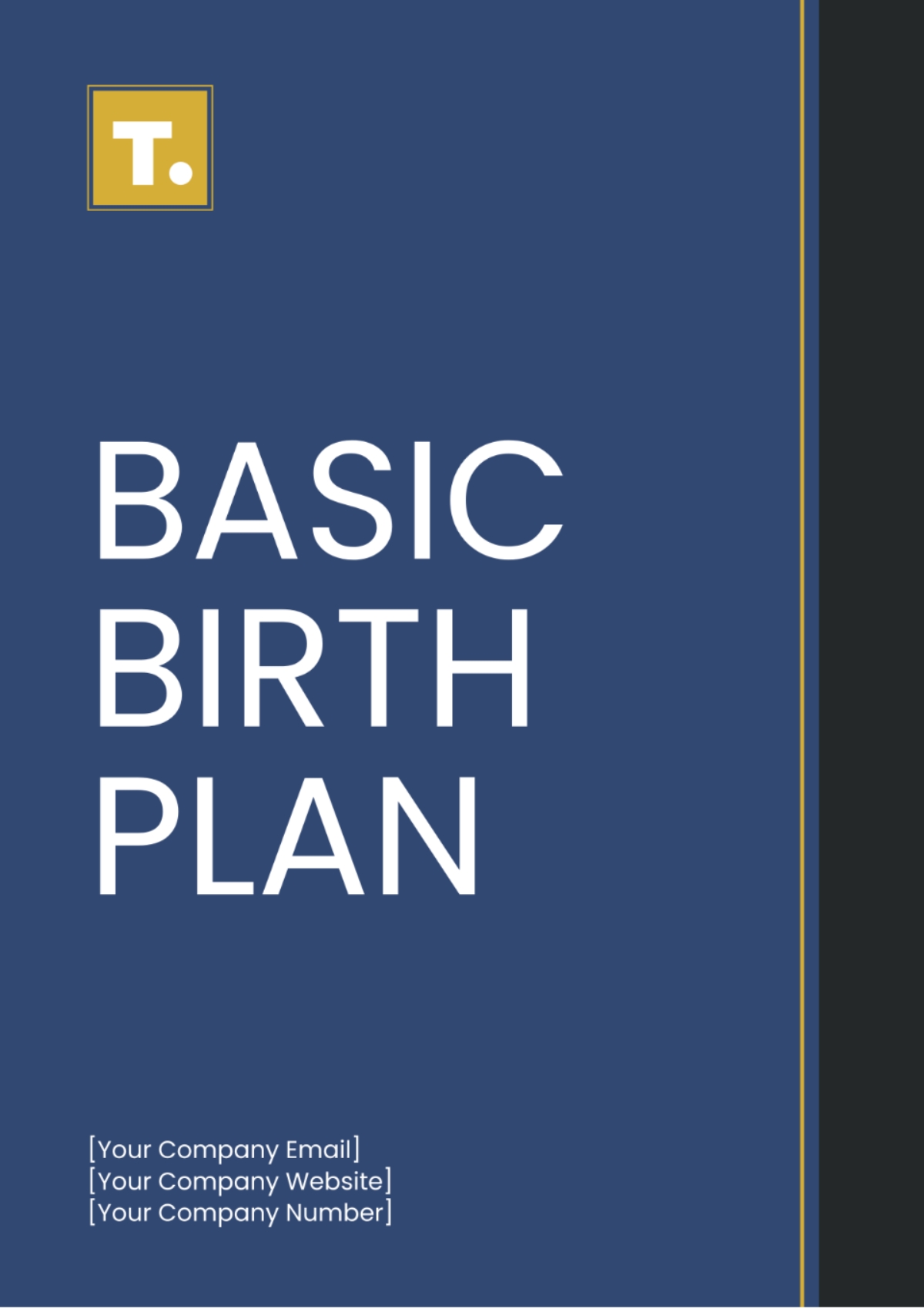 Free Basic Birth Plan Template To Edit Online