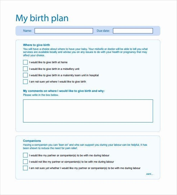 Free Birth Plan Template Sample Birthing Plan Template New Free 23 