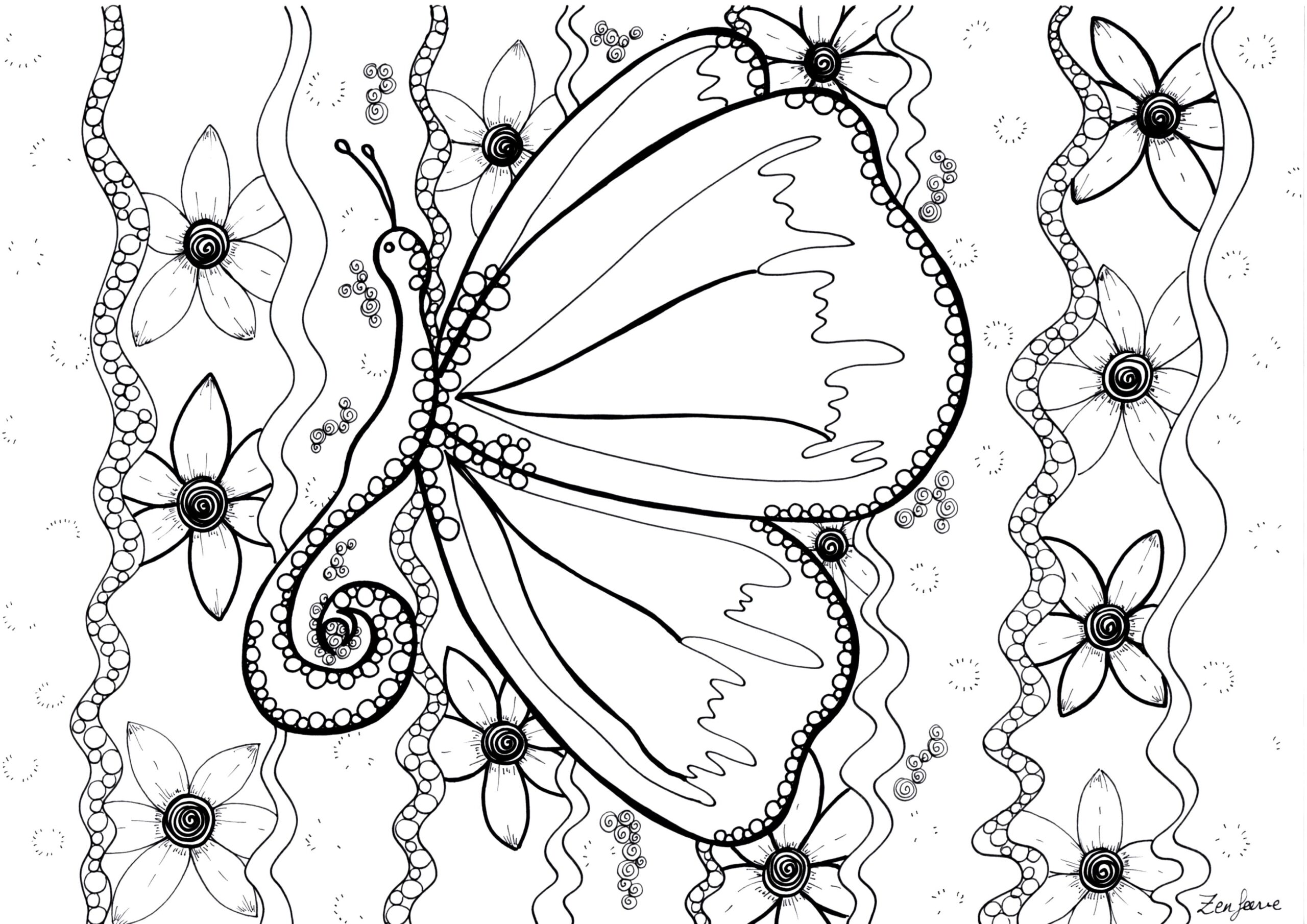 Free Butterfly Drawing To Download And Color Butterflie Coloring 