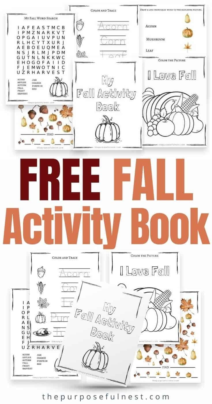 Free Fall Activity Book Printable Homeschool Fall Activities Fall 