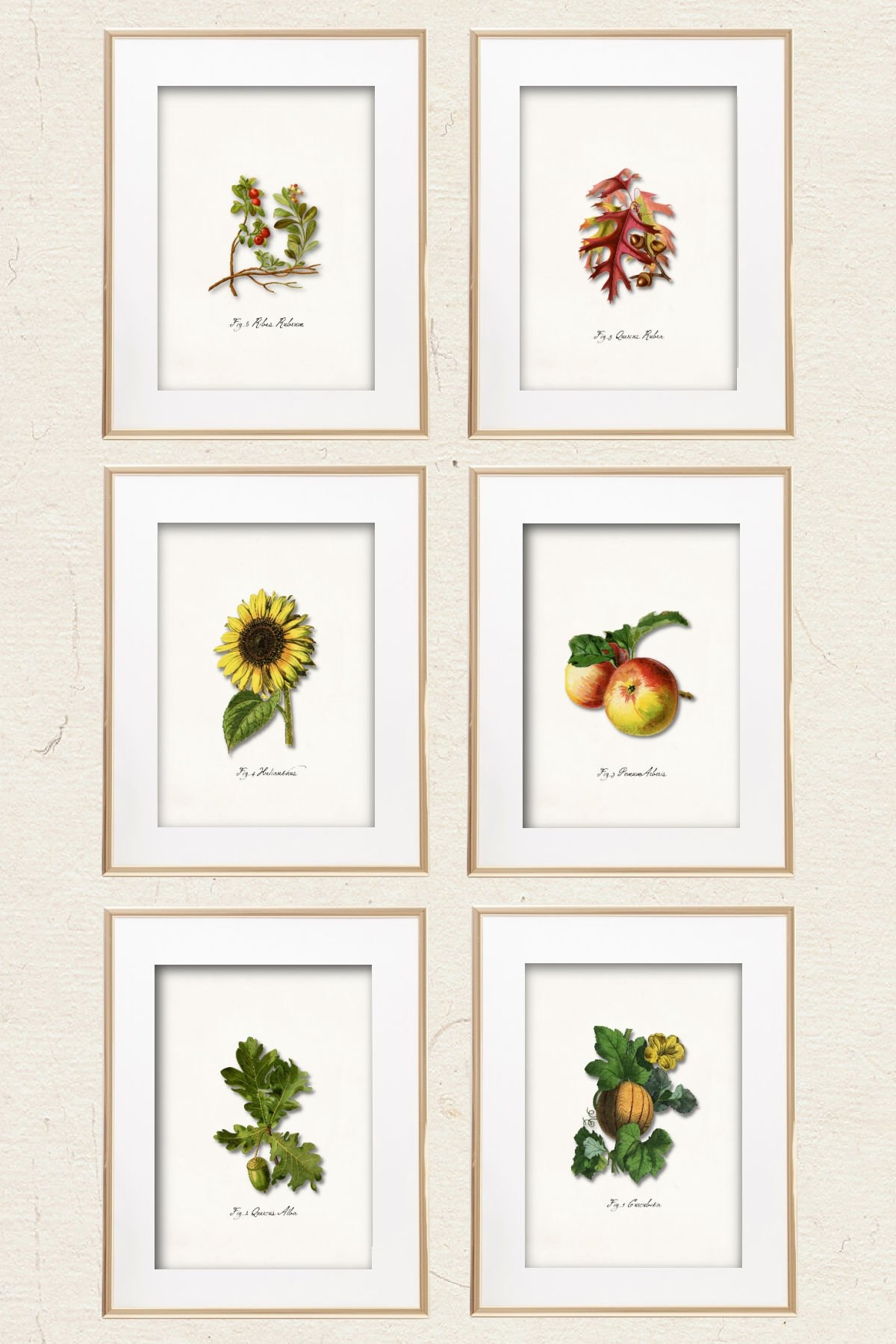 Free Fall Botanical Printable Wall Art Easy Download Heart 39 s 
