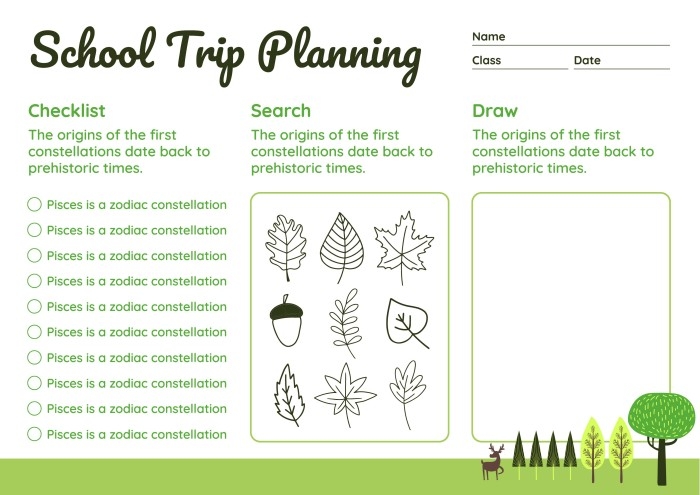 Free Forest School Trip Lesson Plan Template