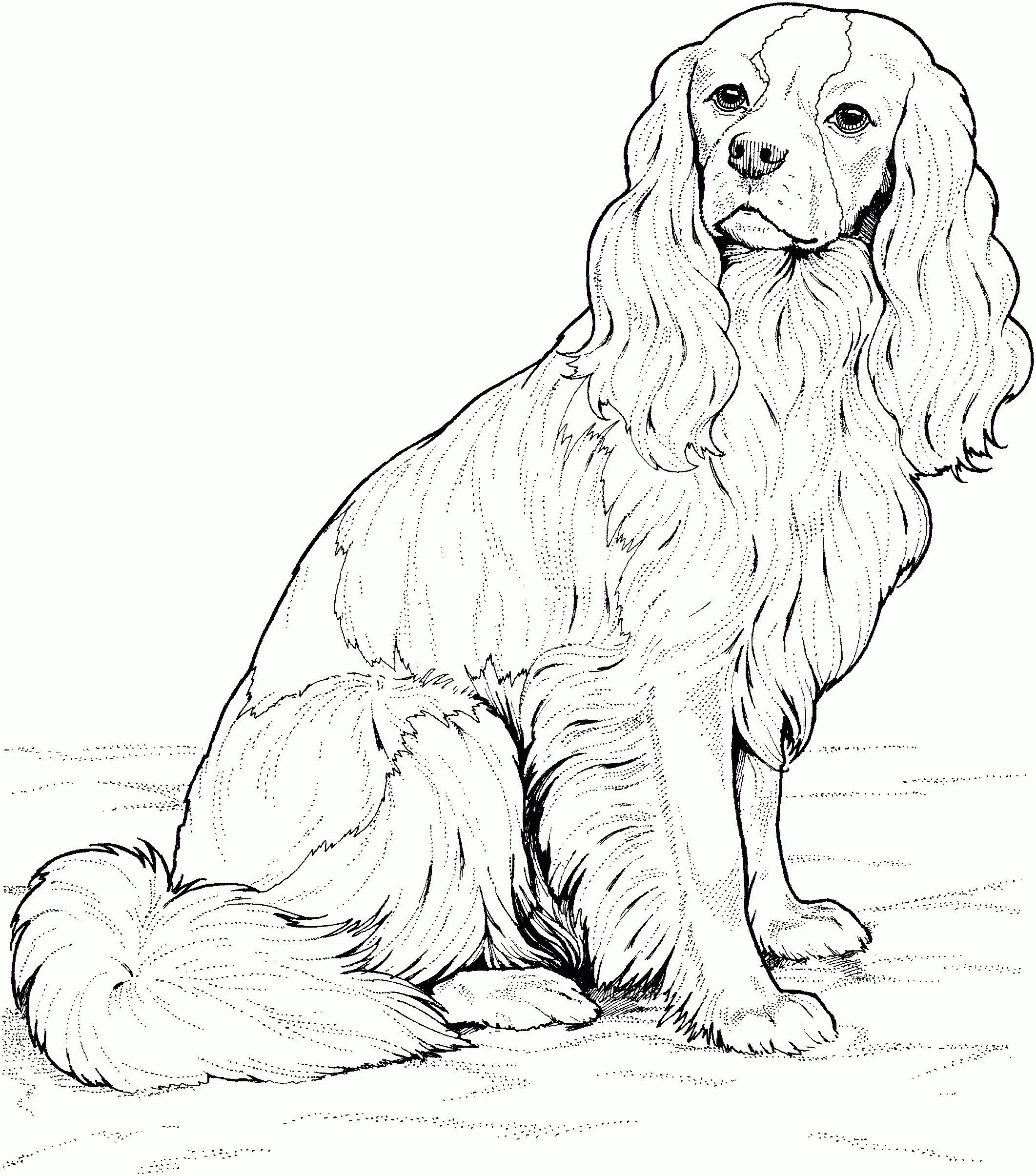 puppy pictures printable