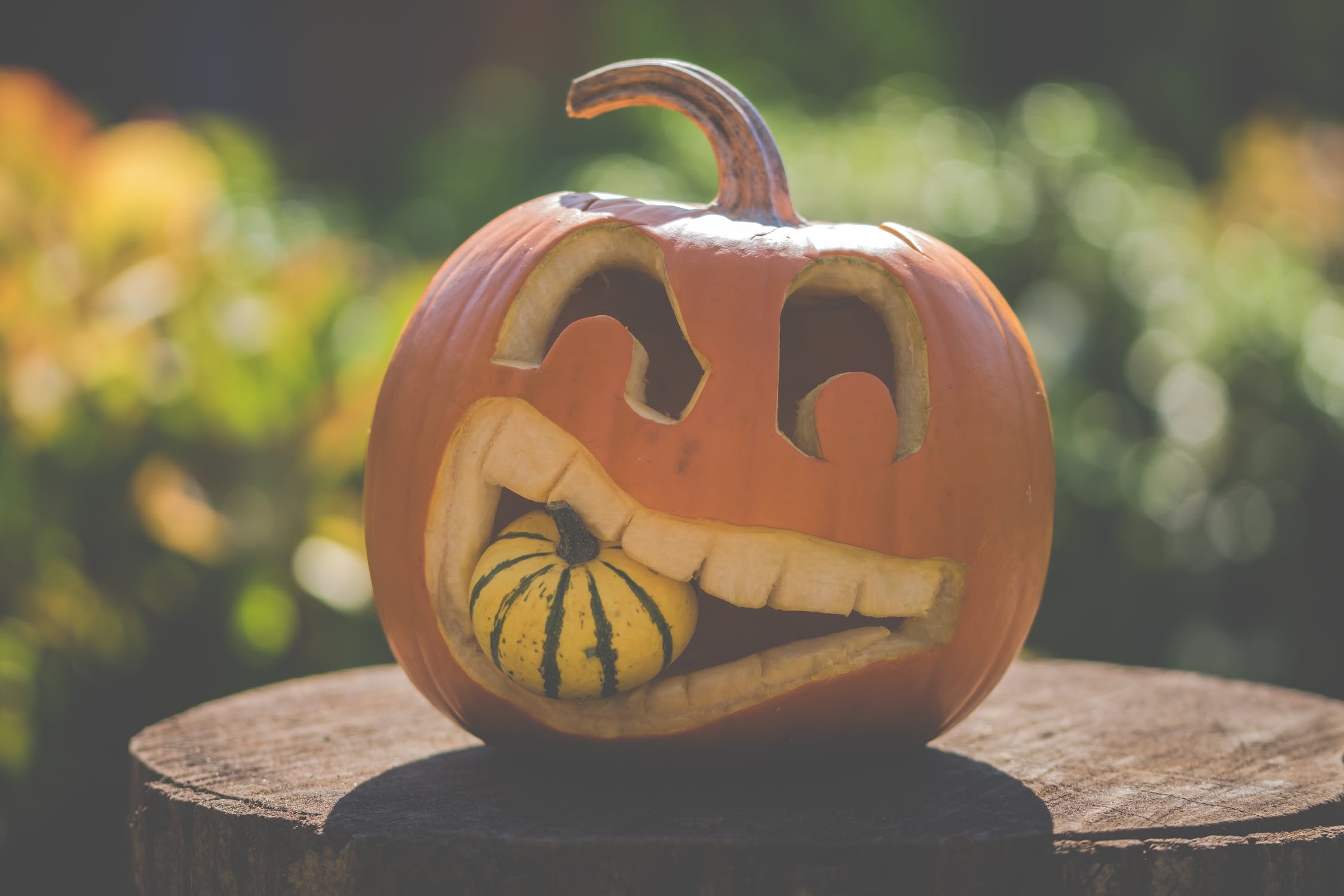 printable halloween pumpkin designs