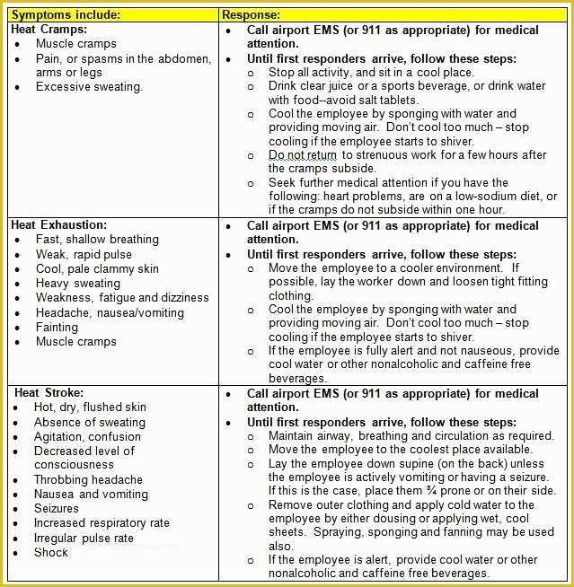 Free Injury And Illness Prevention Program Template Of Image Result For 