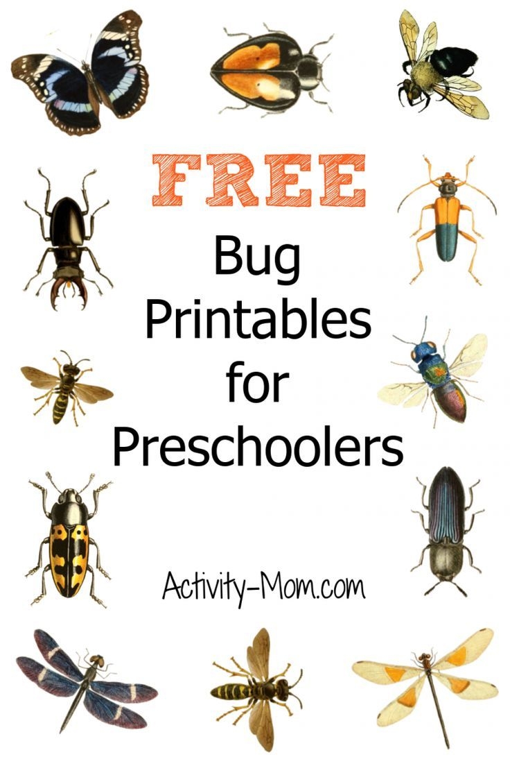 FREE Insect Printables For Preschoolers Love Handmade