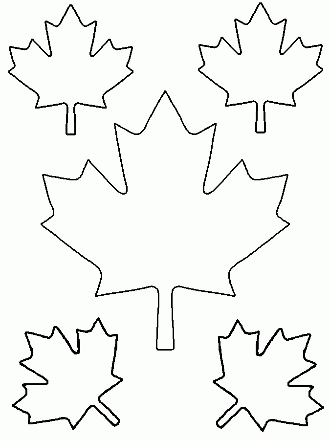 printable picture of a leaf