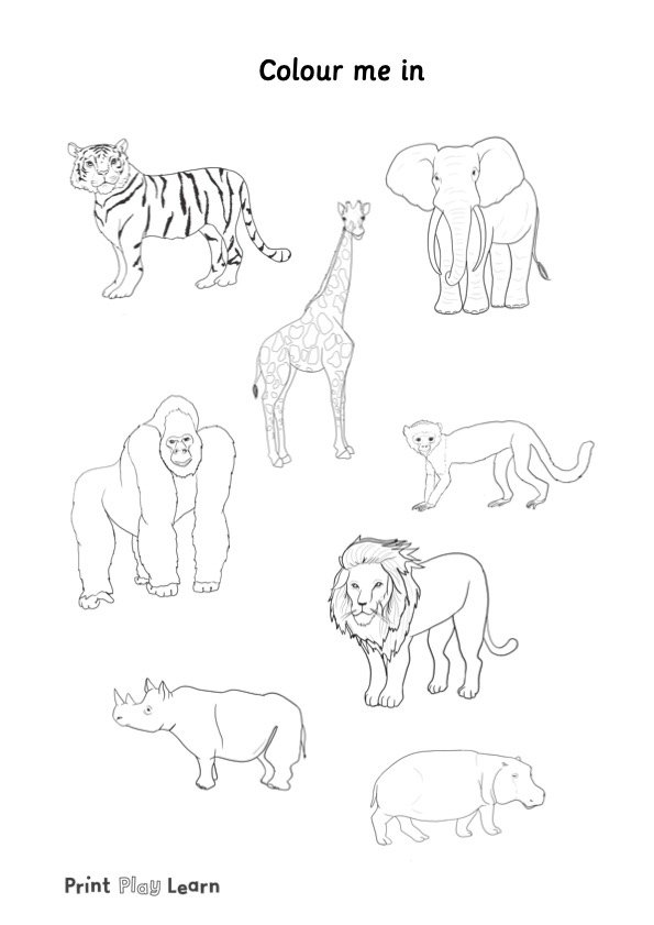 Free Printable Animal Drawings Download Free Printable Animal Drawings 