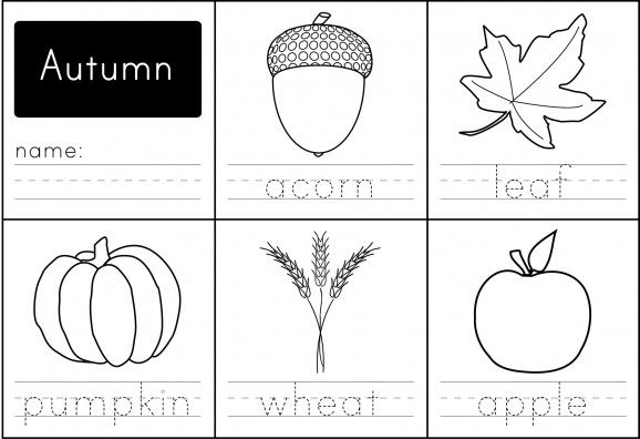 Free Printable Autumn Words Worksheet