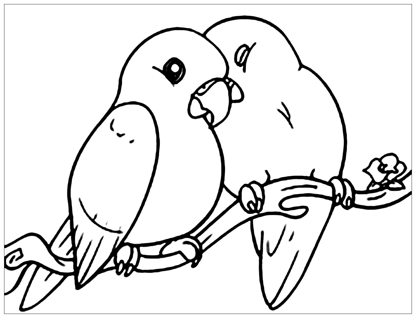 Free Printable Birds Coloring Pages Printable World Holiday