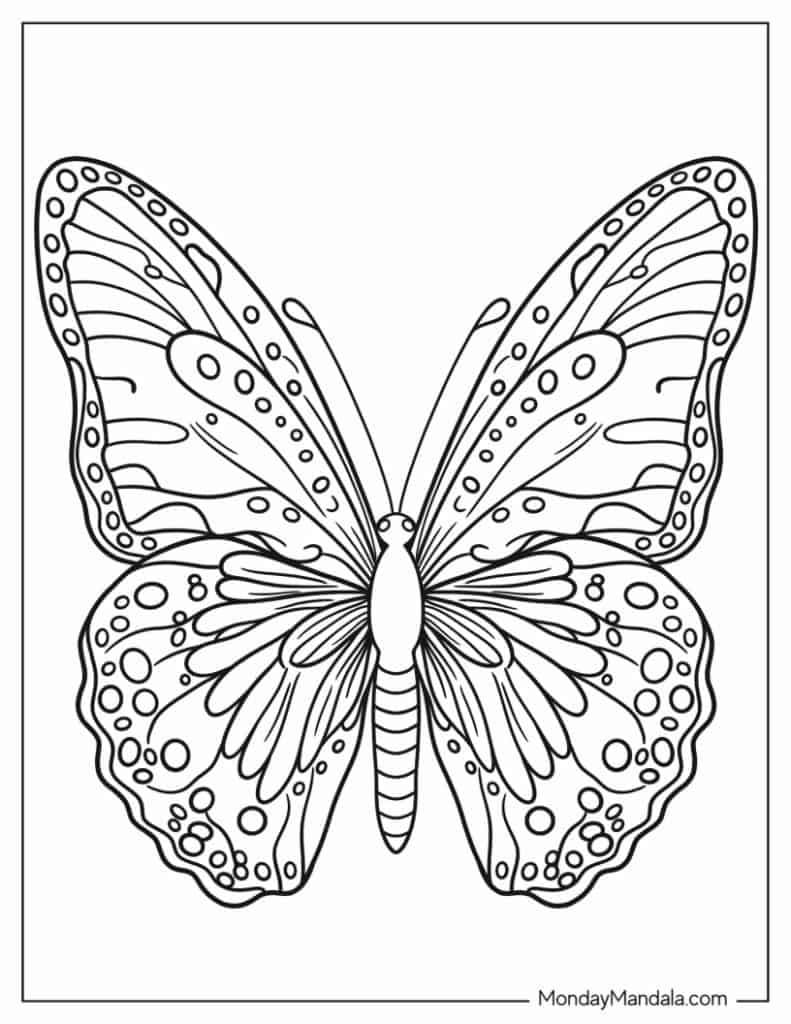 free printable picture of a butterfly