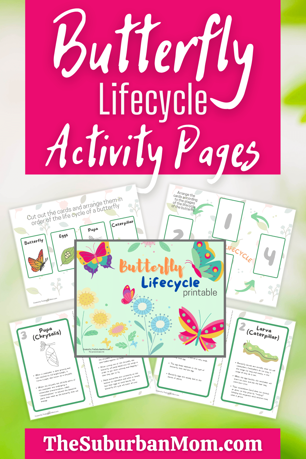Free Printable Butterfly Lifecycle Activity Pages TheSuburbanMom