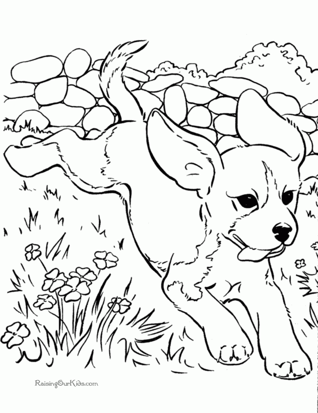 Free Printable Dogs Coloring Pages 102