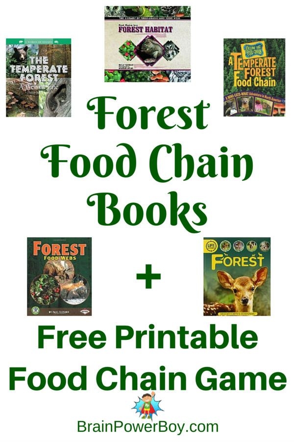 Free Printable Forest Food Chain Game