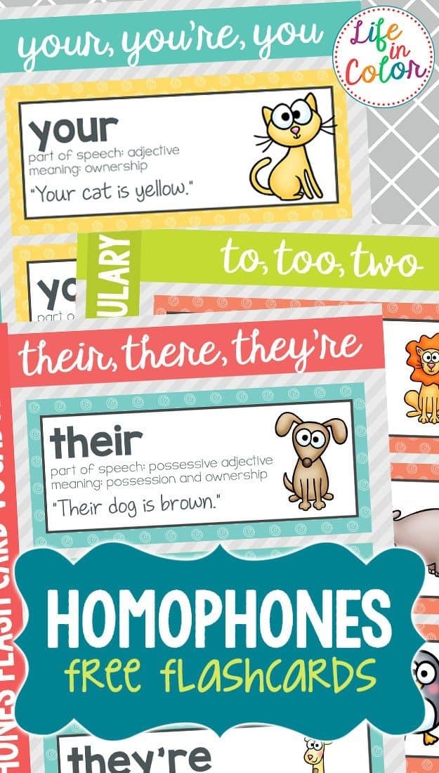 FREE Printable Homophone Flashcards