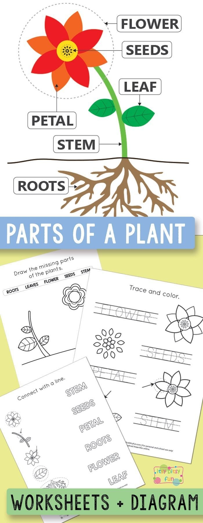 Free Printable Parts Of A Plant Worksheet Printable Sight Words List