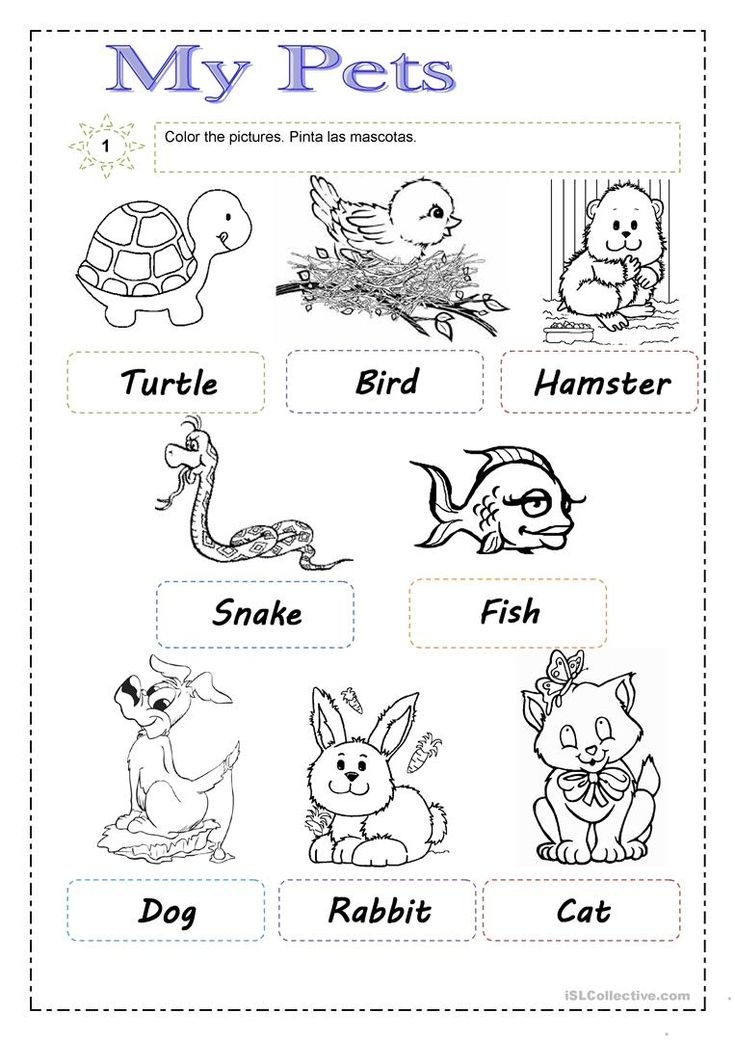 Free Printable Pet Worksheets Lyana Worksheets