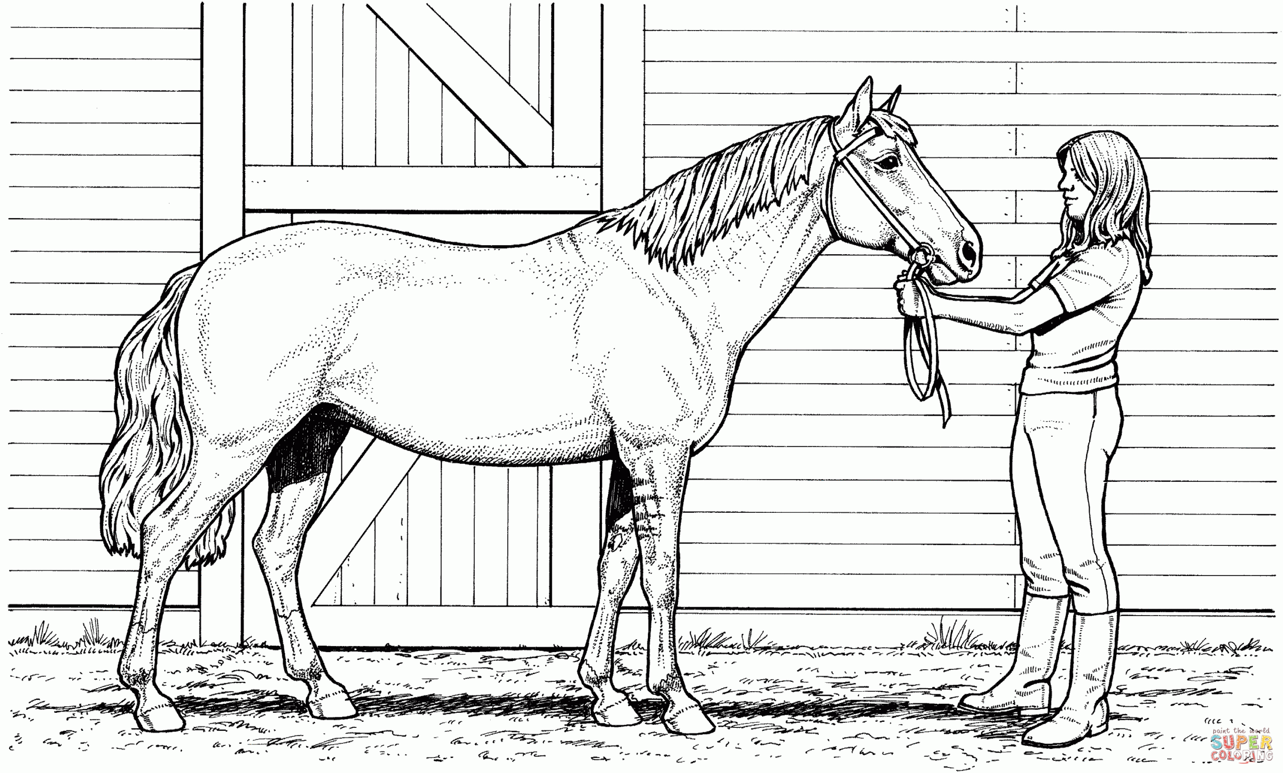 Free Printable Realistic Horse Coloring Pages Coloring Home