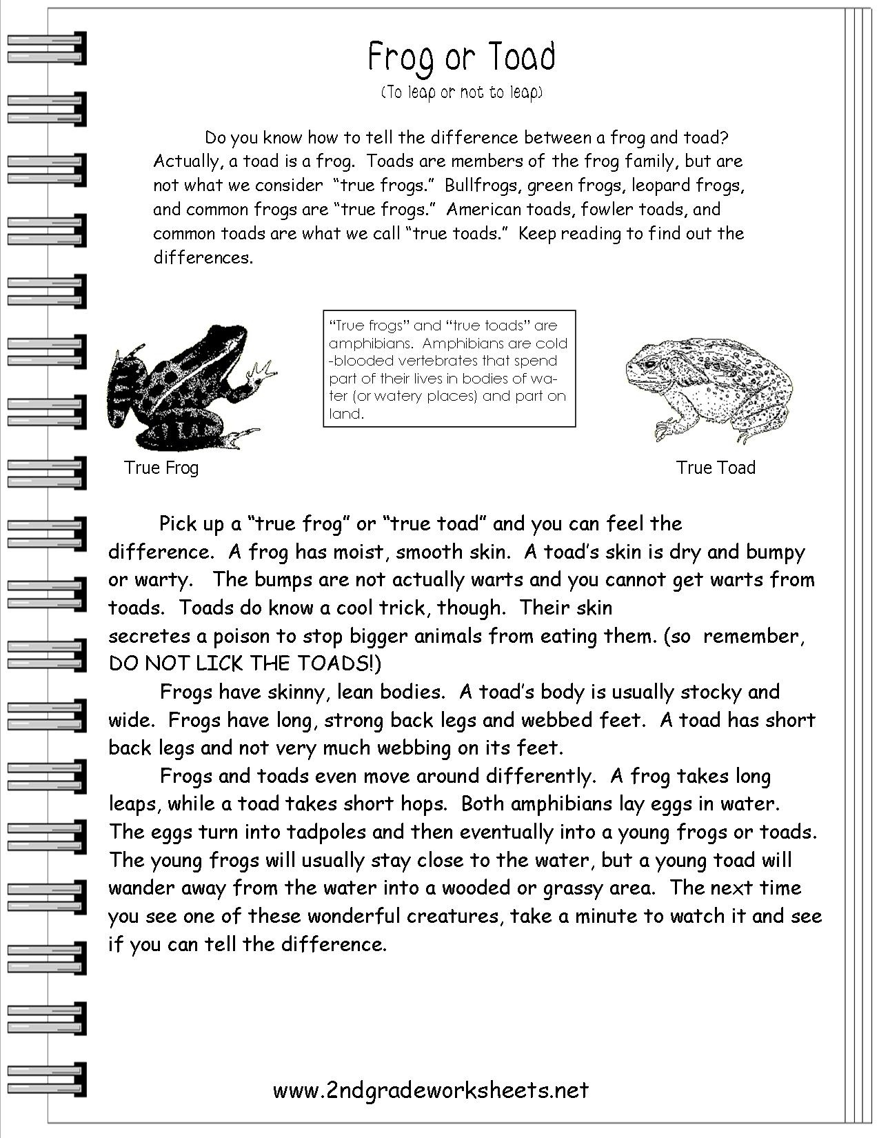 Free Printable Short Stories For 4Th Graders Free Printable
