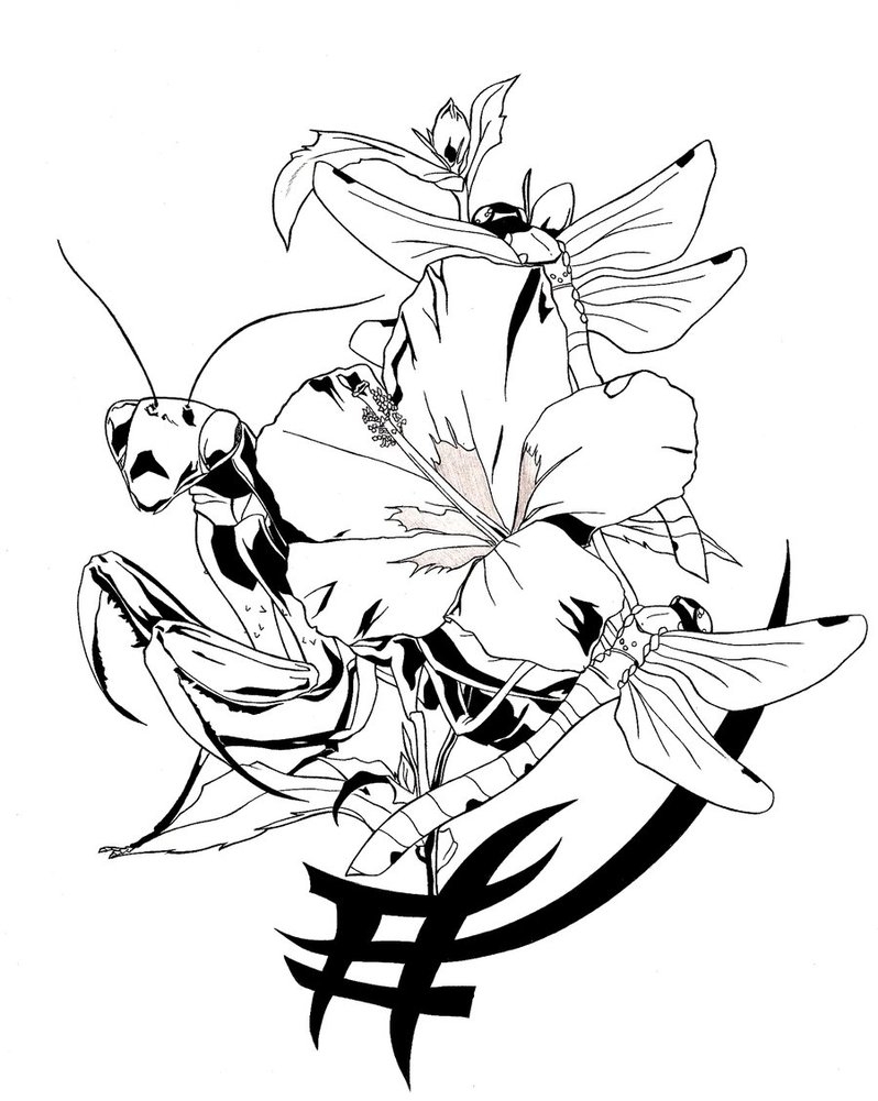 Free Printable Tattoo Designs Thousands Of Tattoo Design Images To 