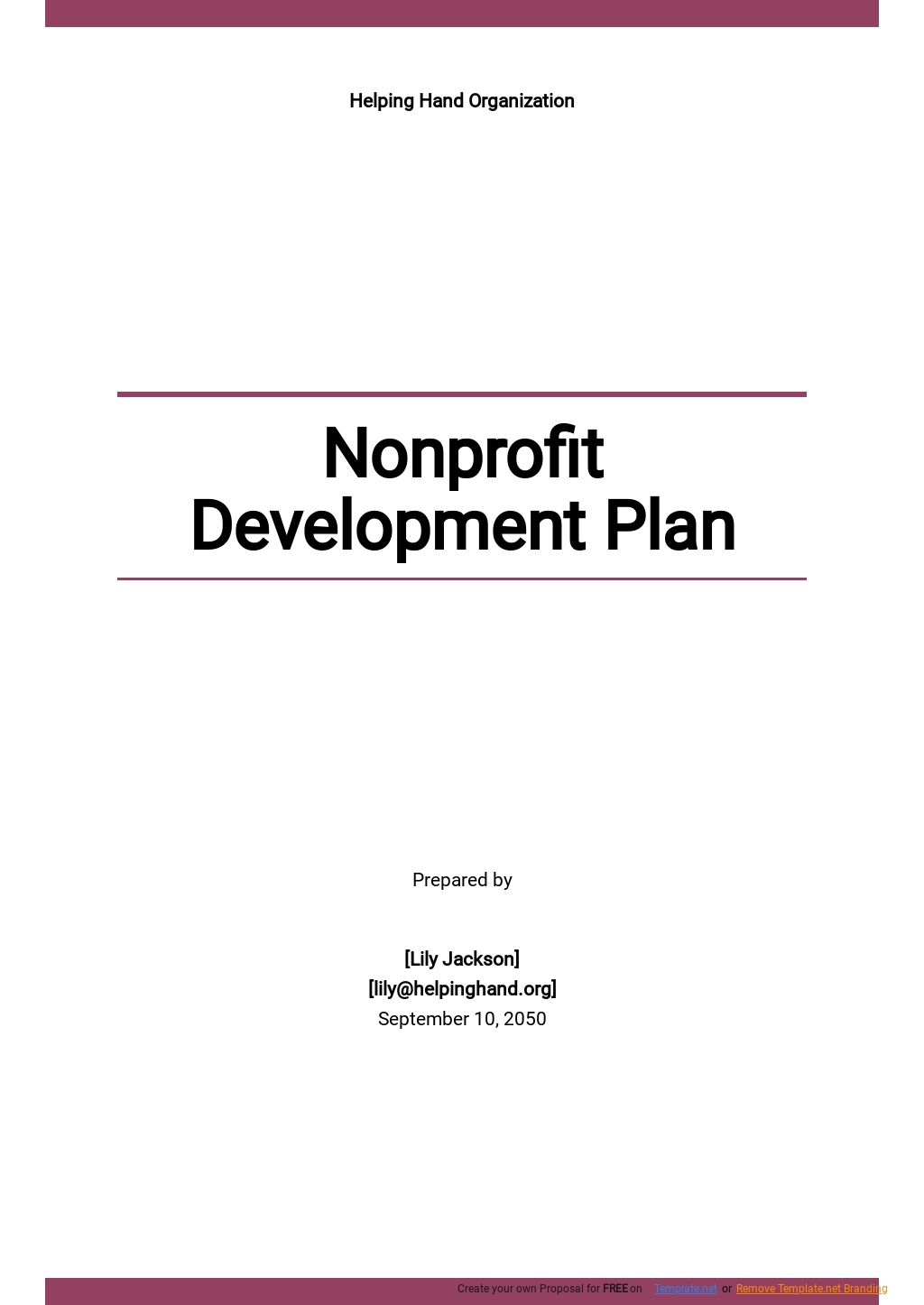 Free Sample Nonprofit Development Plan Template Google Docs Word