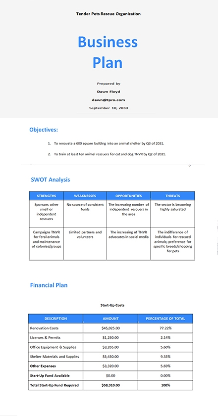 FREE Startup Business Plan Templates In Microsoft Word DOC Template