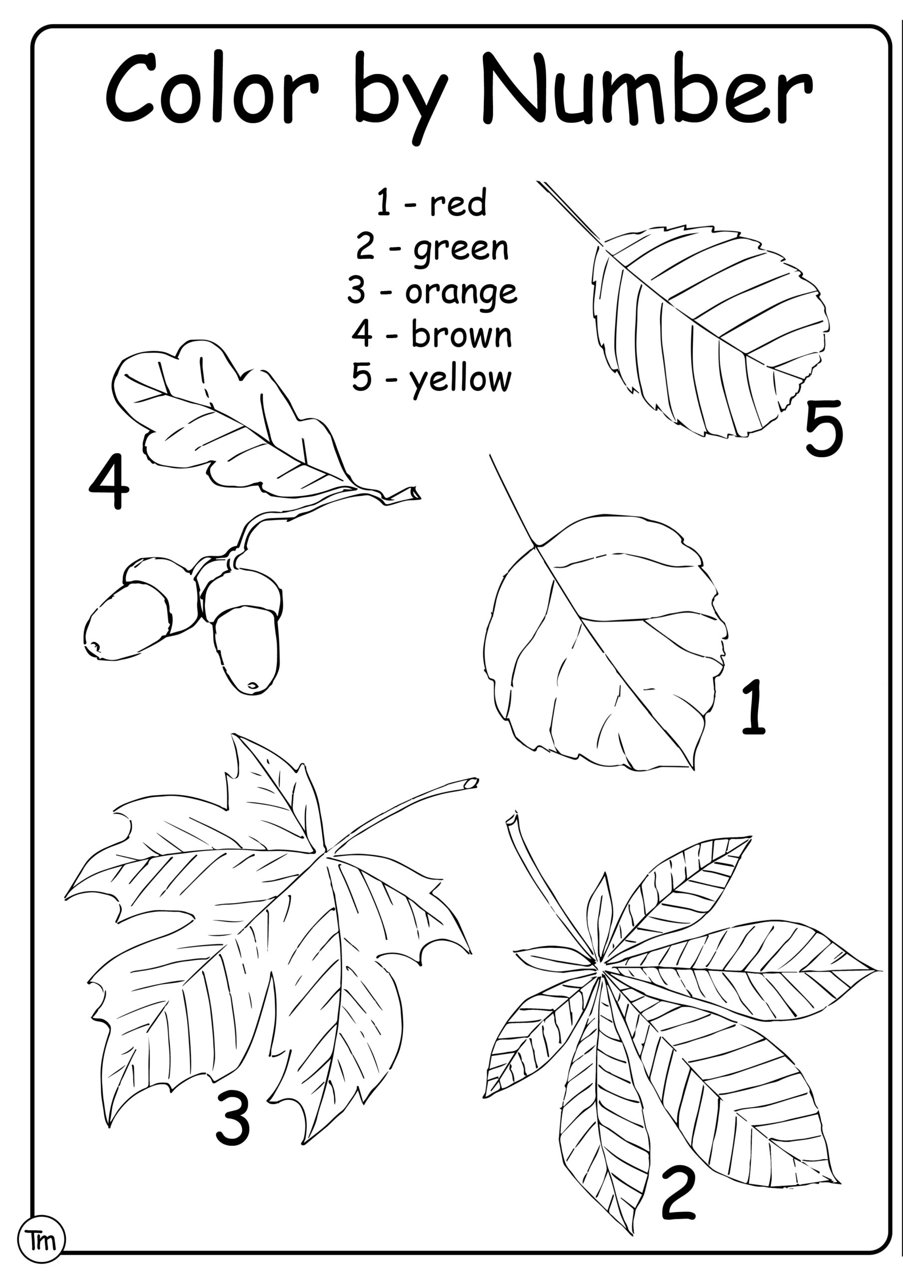 Fun Fall Leaf Craft TeachersMag