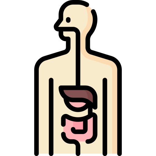 Gastrointestinal Tract Free Healthcare And Medical Icons