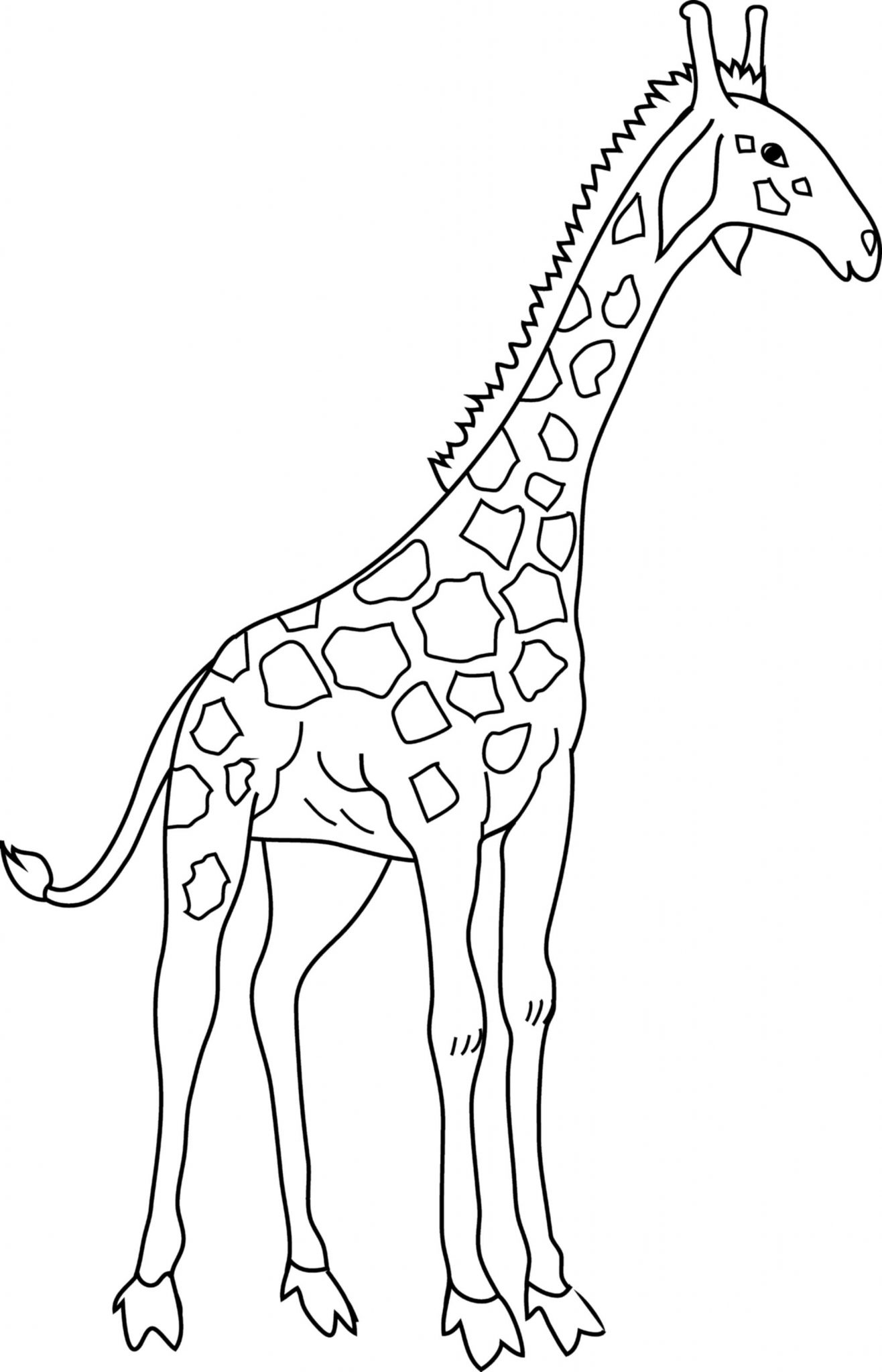 Giraffe Printable Coloring Pages