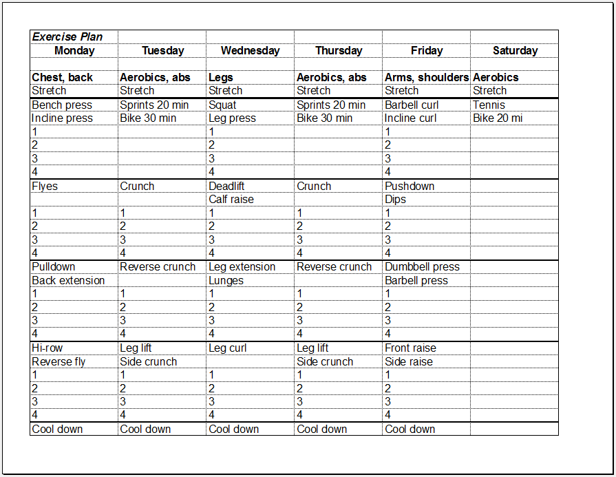 fitness plan template excel