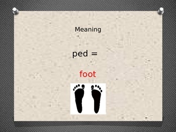 Greek Latin Root Word quot Ped quot Powerpoint By SMT829 TPT