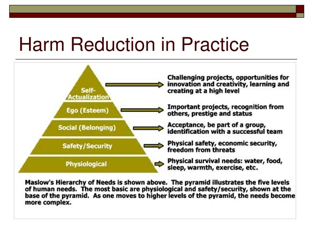 Harm Reduction Plan Template