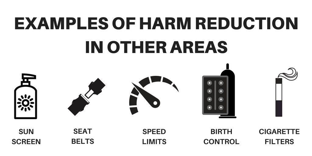 Harm Reduction Plan Template
