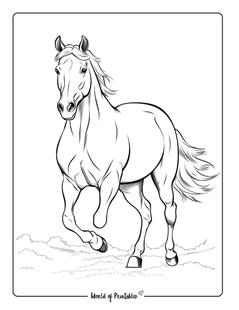 free printable horse games for adults