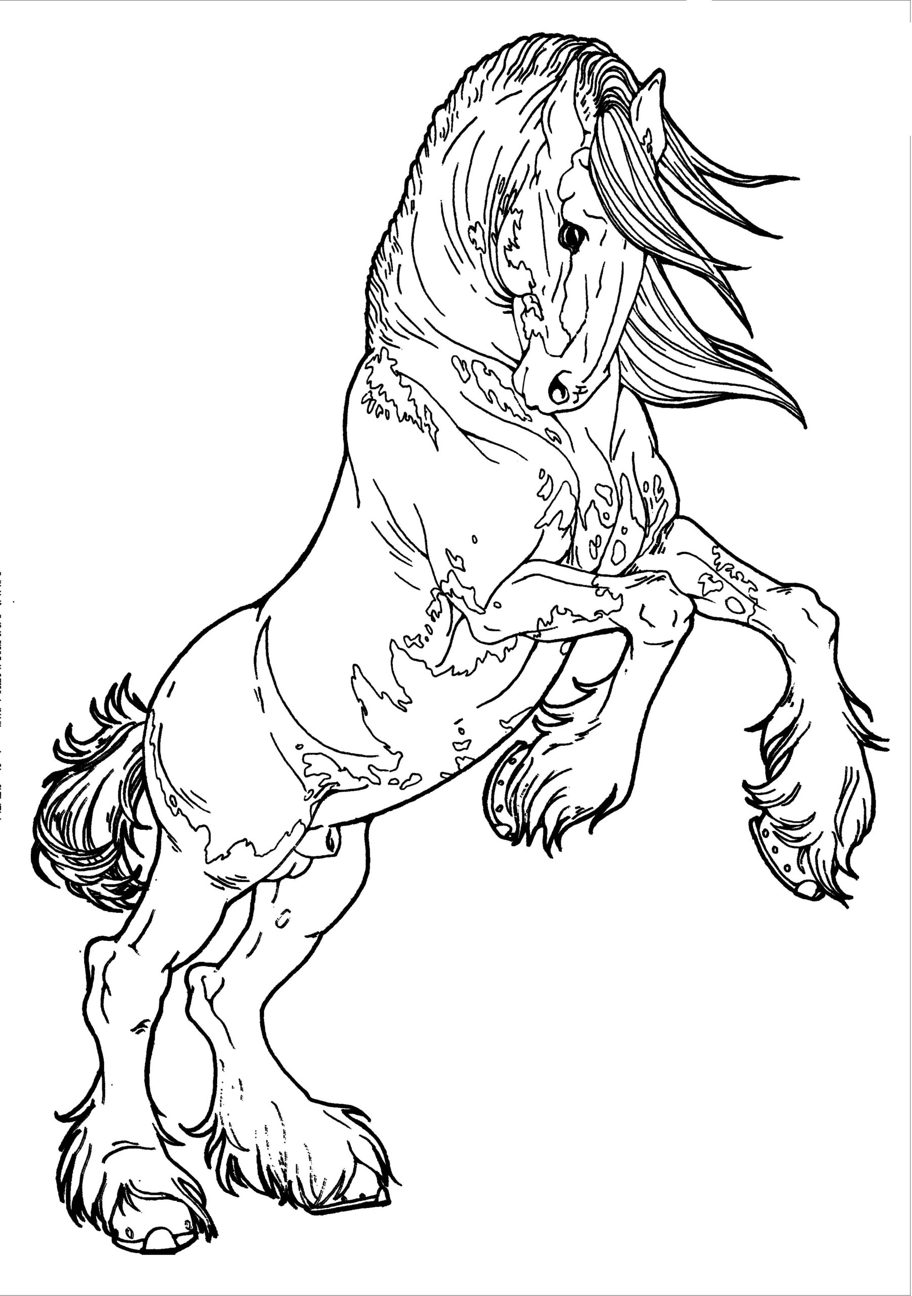 horse colouring pictures printable