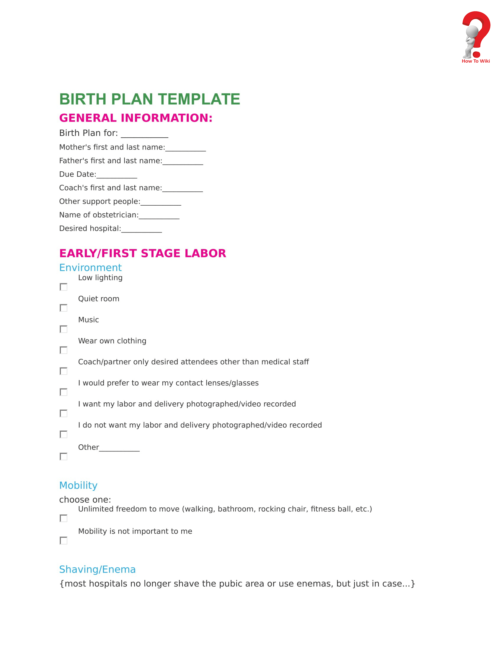 How To Write A Free Birth Plan Template HowToWiki