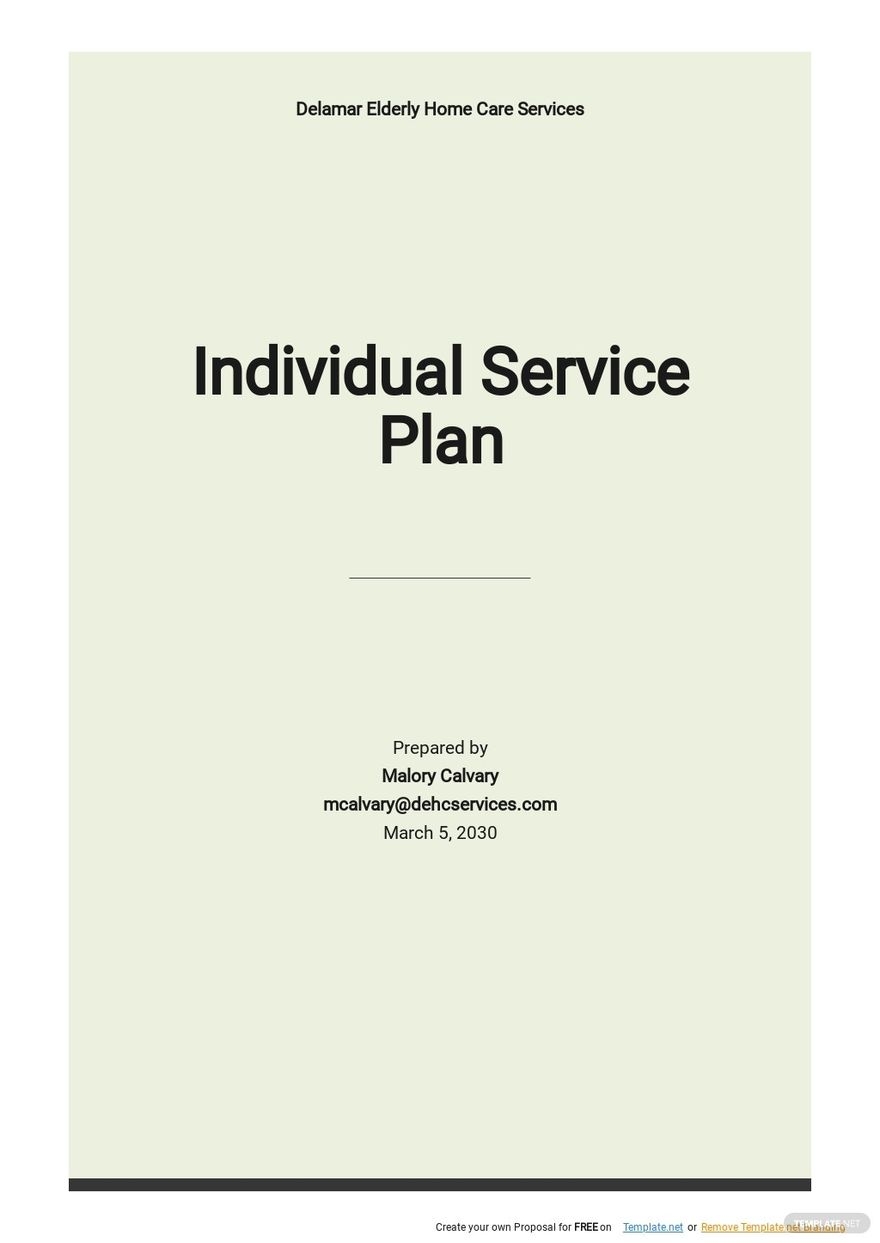 Individual Service Plan Google Docs Templates Design Free Download 